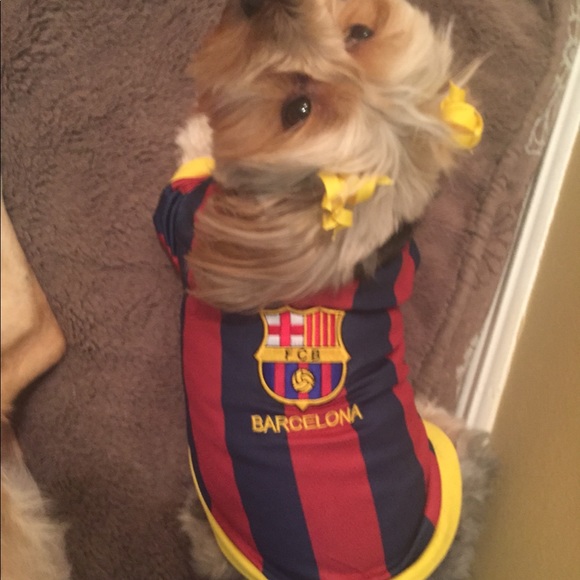 Meet your Posher, Jannesse! - Picture 2 of 6